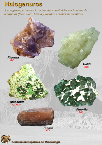 Carteles de la Federación Española de Mineralogía. Clasificación de los minerales según Nickel-Strunz. Halogenuros. Clase IV